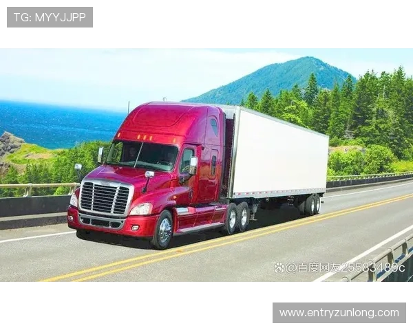 揭秘d88尊龙大厅的安全性与信誉保障