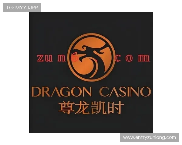 z6com尊龙凯时百家乐的支付方式多样性与安全保障措施