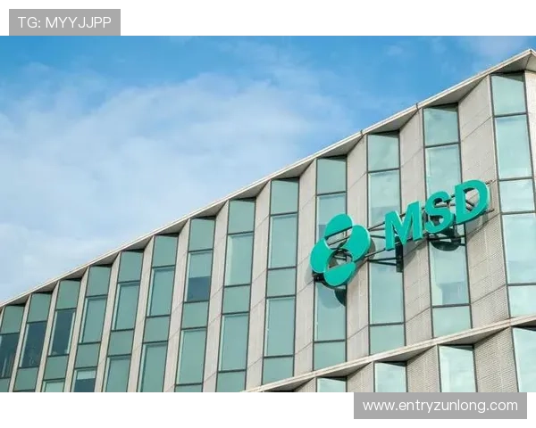 尊龙z6.com旗舰厅登录线路用户体验提升措施优化界面设计和操作流程增强用户粘性