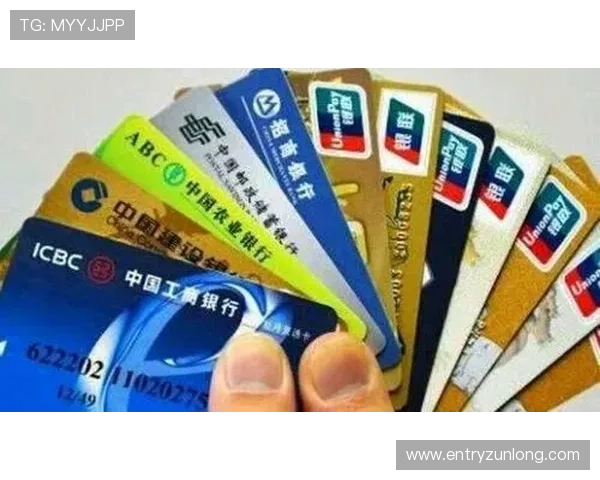 尊龙凯时直营平台的支付方式多样化支持多渠道快速存取款体验