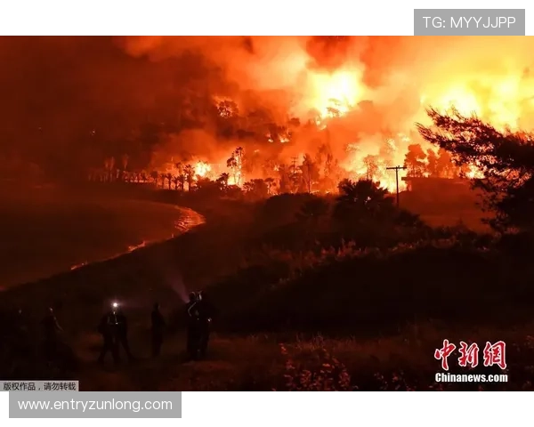 畅游尊龙会的官方网站首页登录入口使用说明