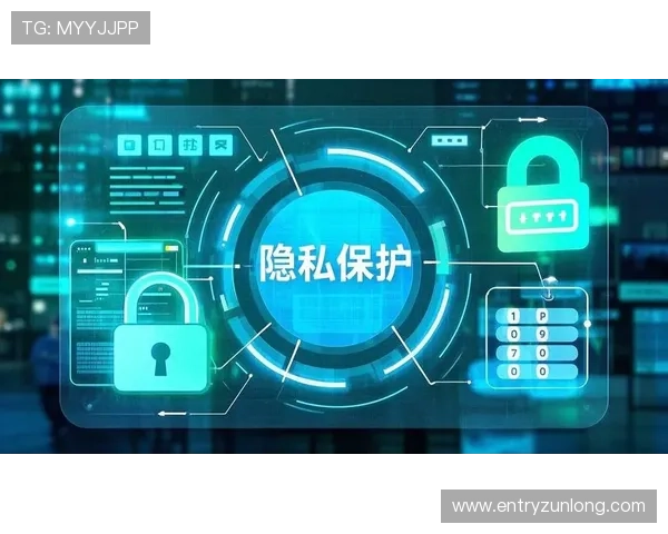 九游娱乐国际版安全性分析与用户隐私保护措施详解
